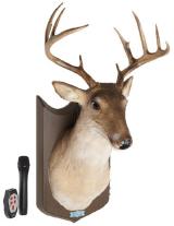 Der singende Hirsch