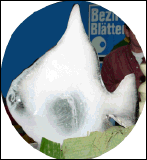 Eis Fisch - Eisfigur kaufen Salzburg